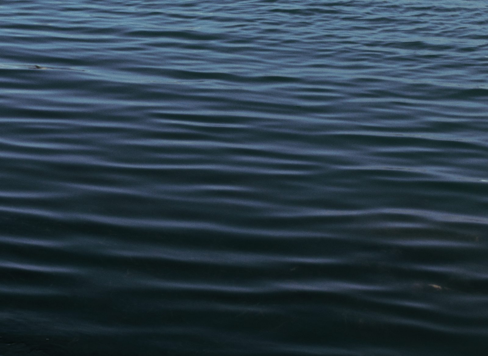 Still from Somewhere I Belong
